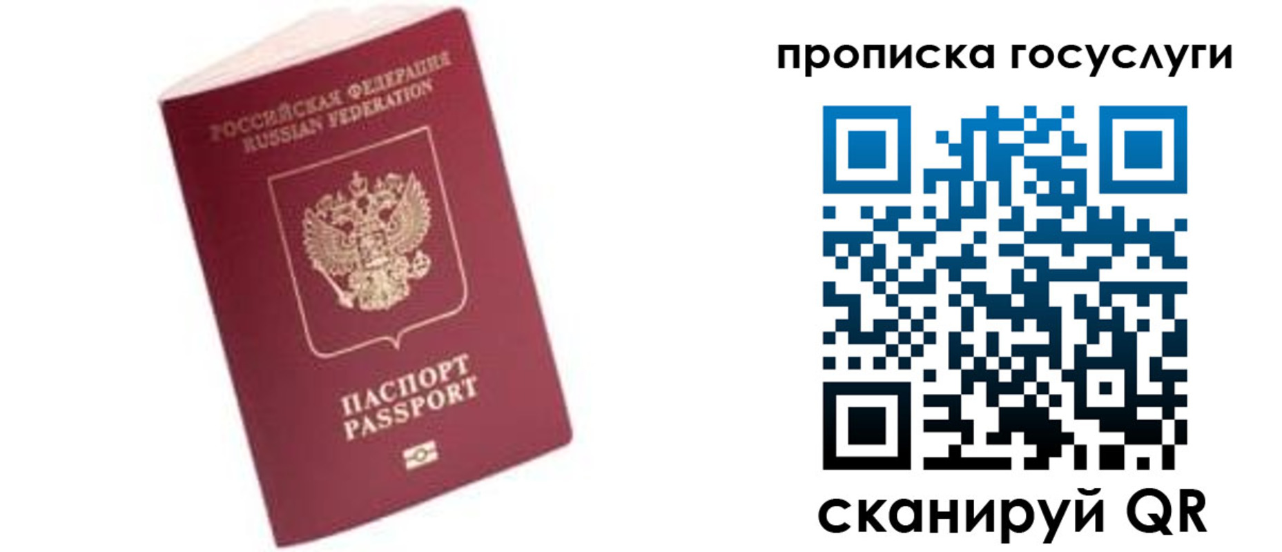 прописка в Пугачёве